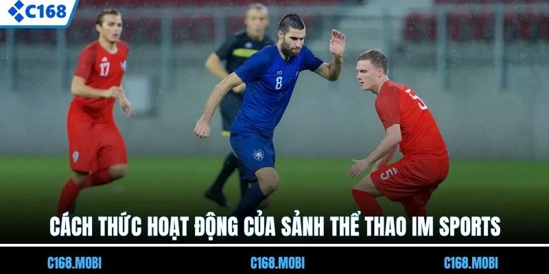 Cách thức hoạt động của sảnh thể thao IM
