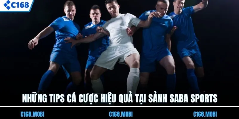 Những tips cá độ hiệu quả tại sảnh SABA Sports